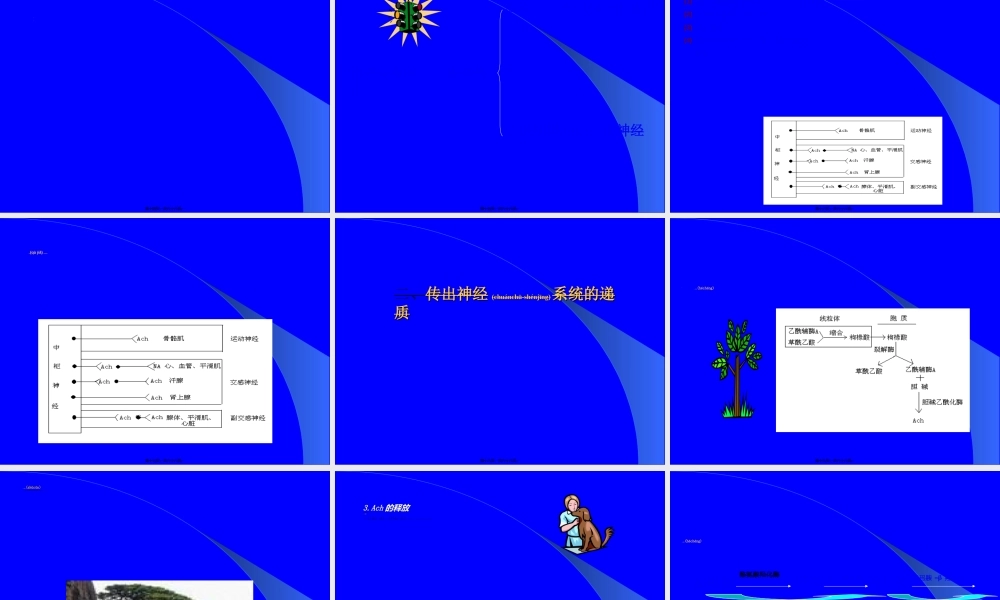 2022年医学专题—第5章--传出神经系统药概论.ppt