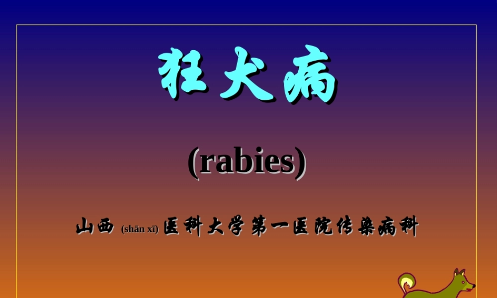 2022年医学专题—狂犬病.ppt