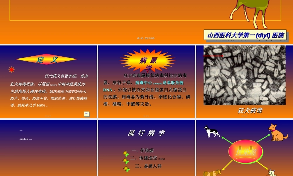 2022年医学专题—狂犬病.ppt