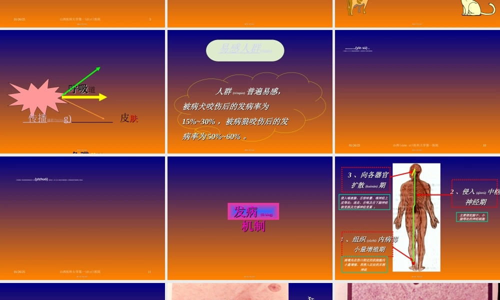 2022年医学专题—狂犬病.ppt