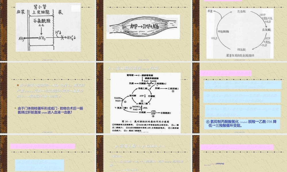 2022年医学专题—肝功能衰竭.ppt