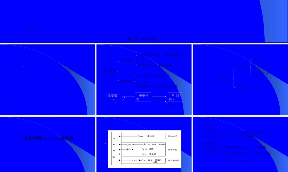 2022年医学专题—第5章传出神经系统药概论..ppt