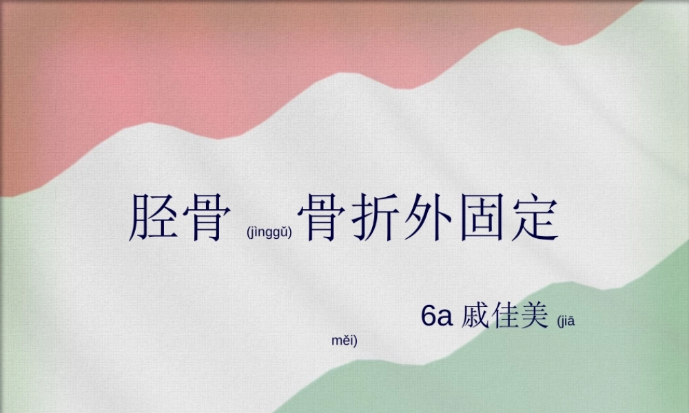 2022年医学专题—胫骨外固定支架.ppt