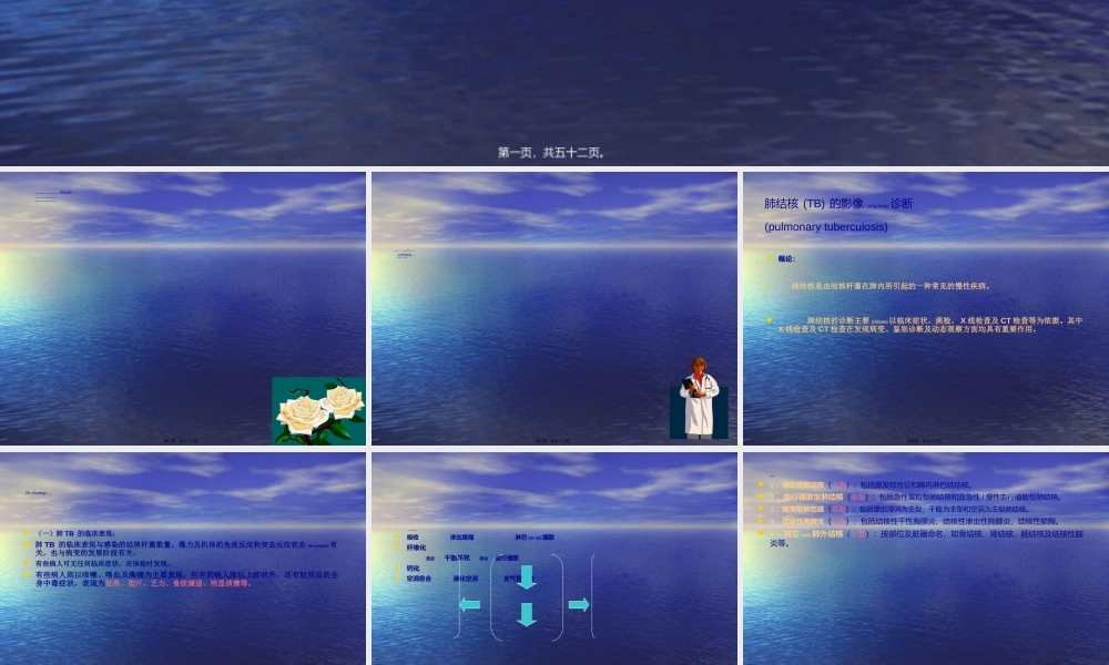2022年医学专题—肺TB.ppt