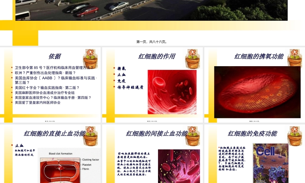 凝血因子-龙岩血站.pptx