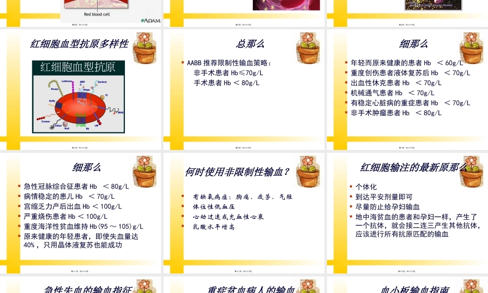 凝血因子-龙岩血站.pptx