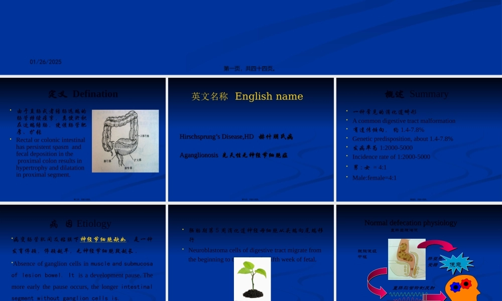 先天性巨结肠与胆道剖析.pptx