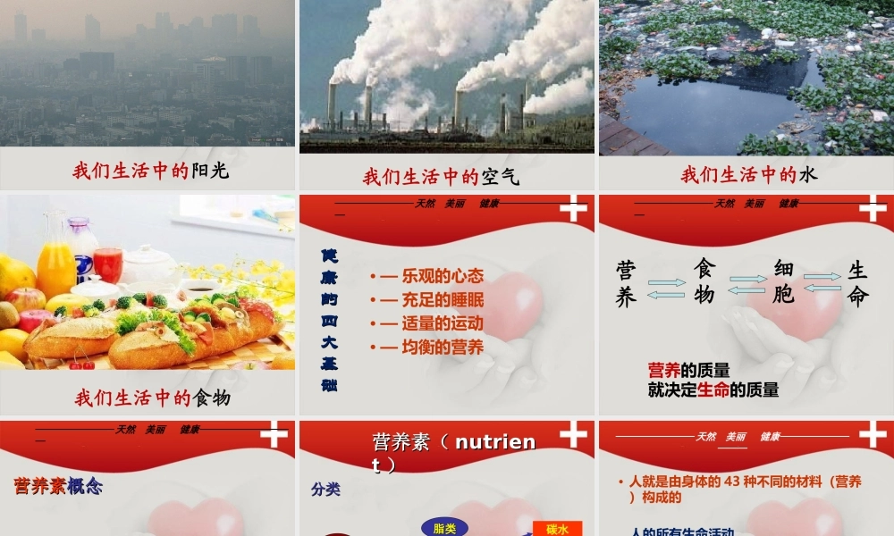 新营养与健康.ppt