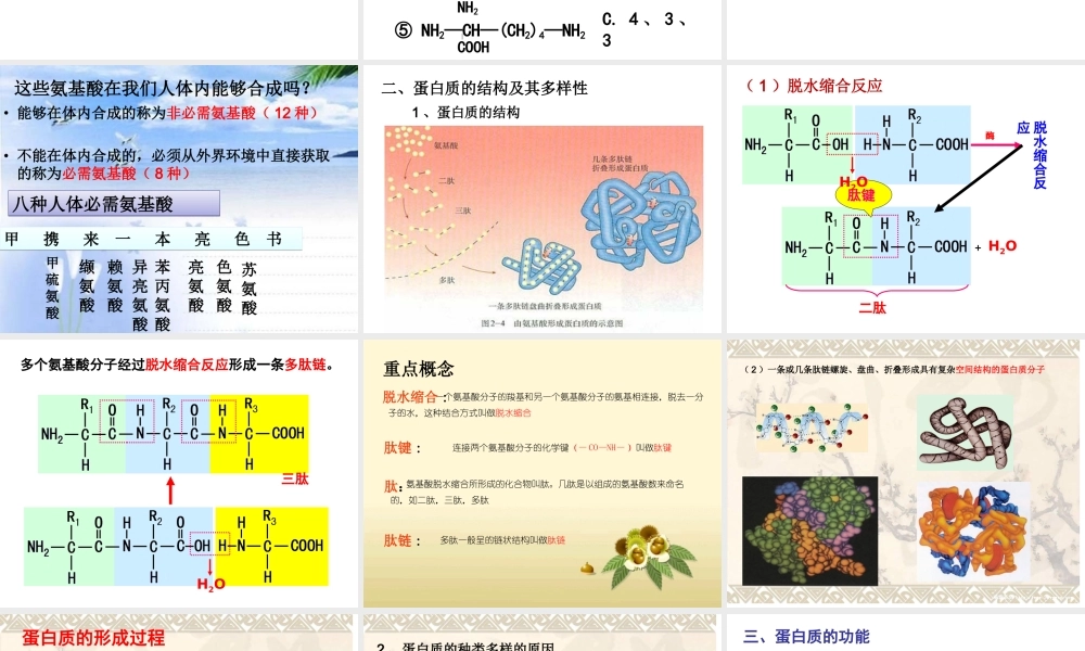 必修一2.2蛋白质-(共35张PPT).ppt
