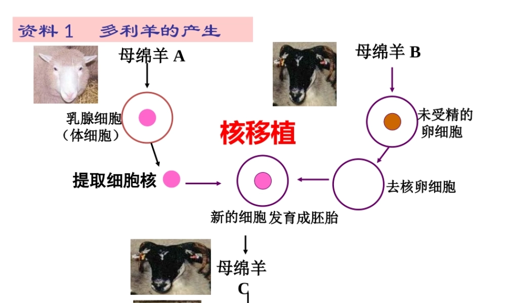 细胞和原核细胞[整理后].ppt