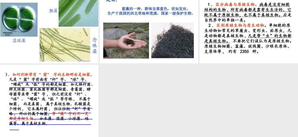 细胞和原核细胞[整理后].ppt