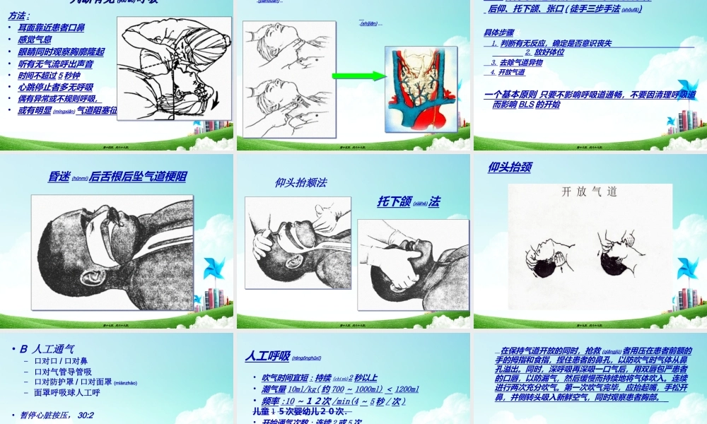 2022年医学专题—心肺脑复苏(最新).ppt.ppt