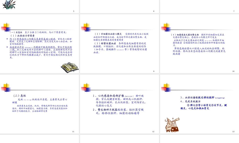 2022年医学专题—感染性心内膜炎(2学时).ppt
