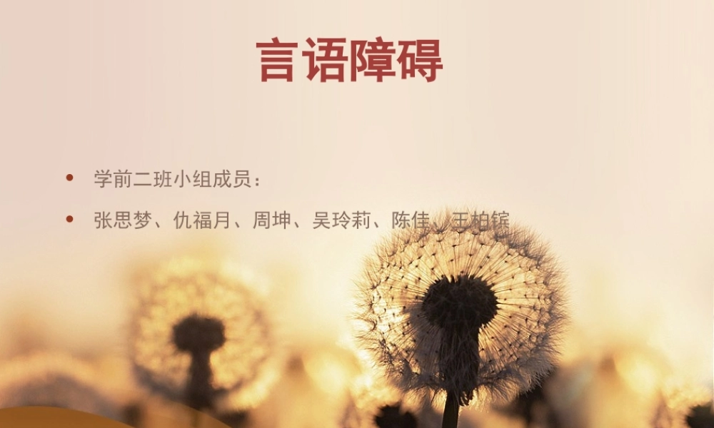 言语障碍(2)介绍.ppt