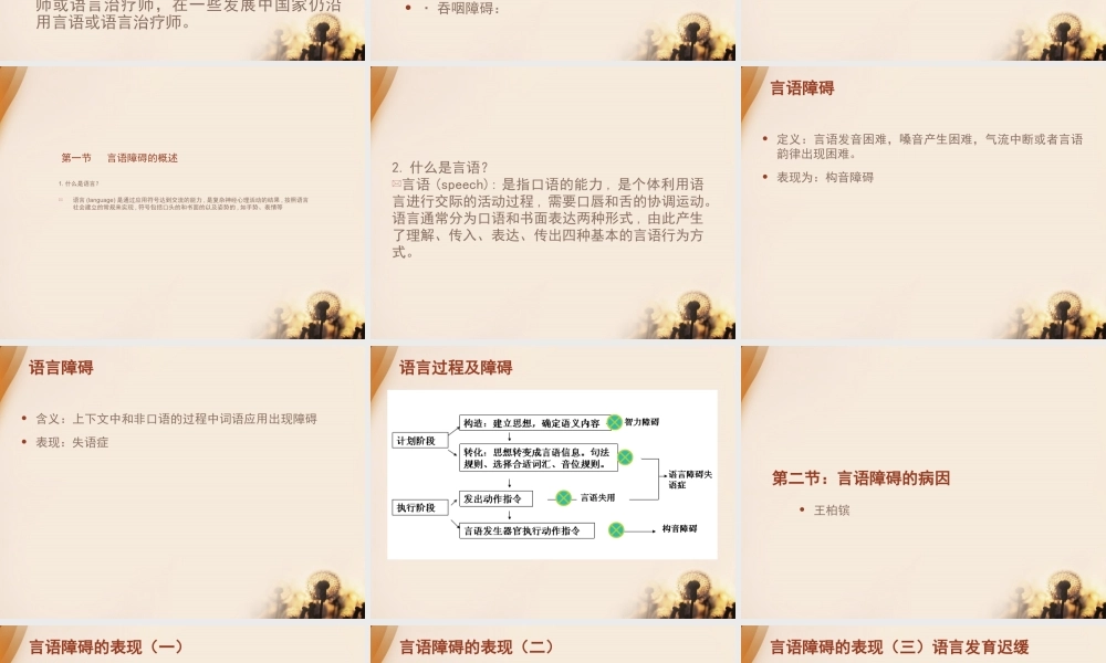 言语障碍(2)介绍.ppt