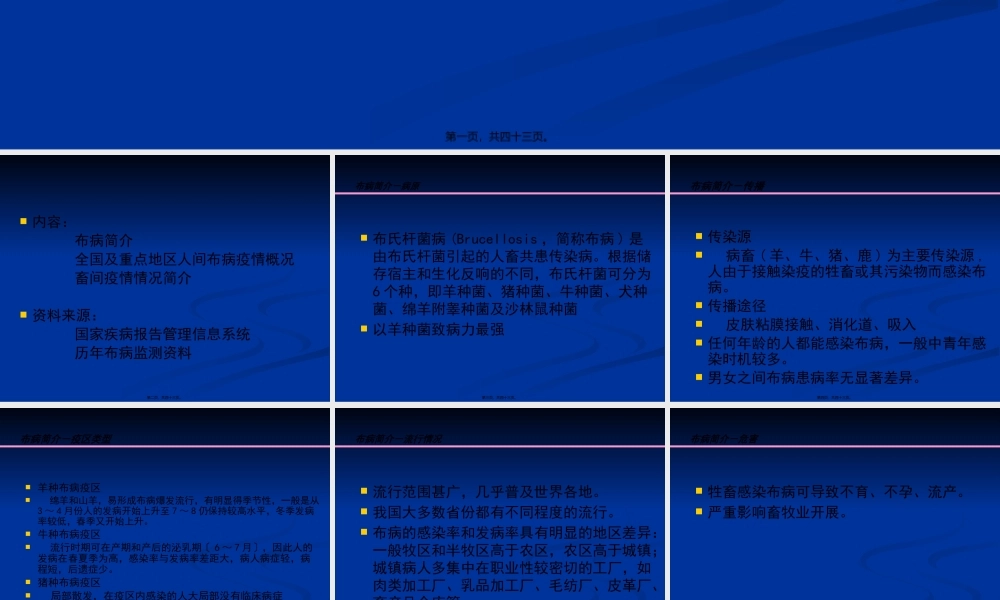 全国布病流行概况.pptx