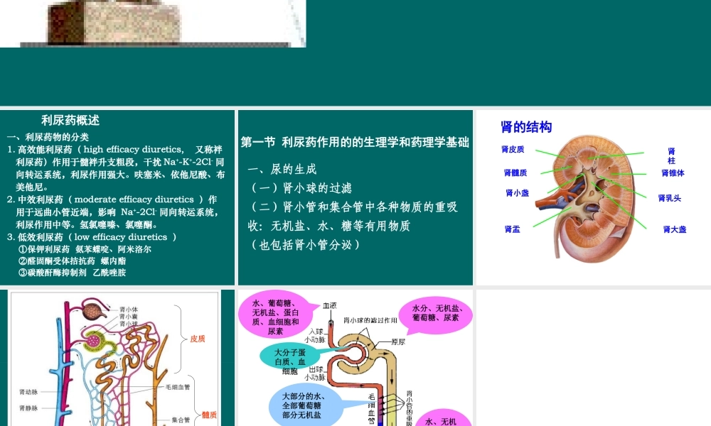 利尿药及脱水药2.ppt