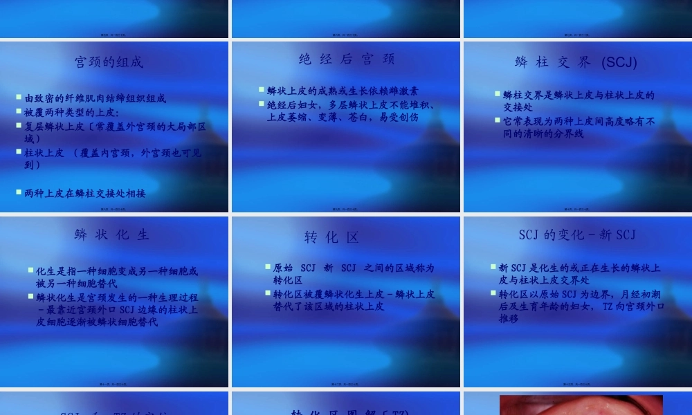 宫颈癌筛查技术推广.pptx