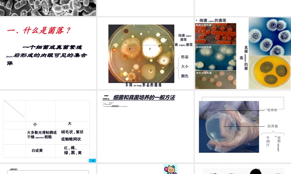 2022年医学专题—第一节.细菌和真菌的分布.ppt