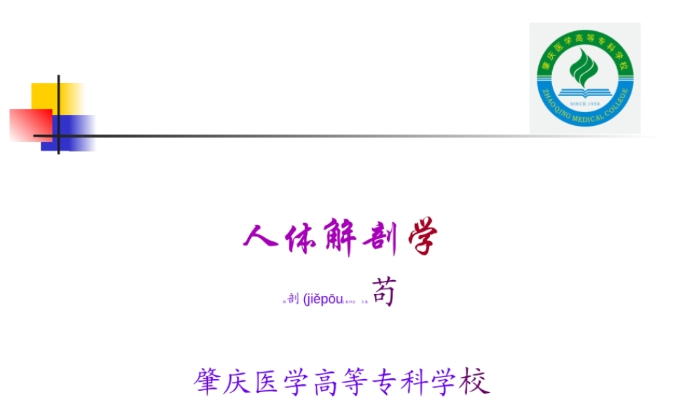 2022年医学专题—第四节-四肢骨及其连结.ppt