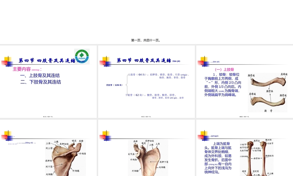 2022年医学专题—第四节-四肢骨及其连结.ppt