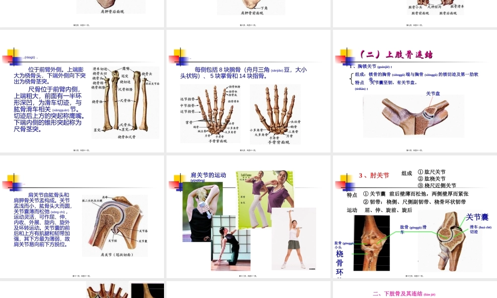2022年医学专题—第四节-四肢骨及其连结.ppt