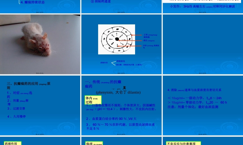 2022年医学专题—抗惊厥和抗癫痫药.ppt