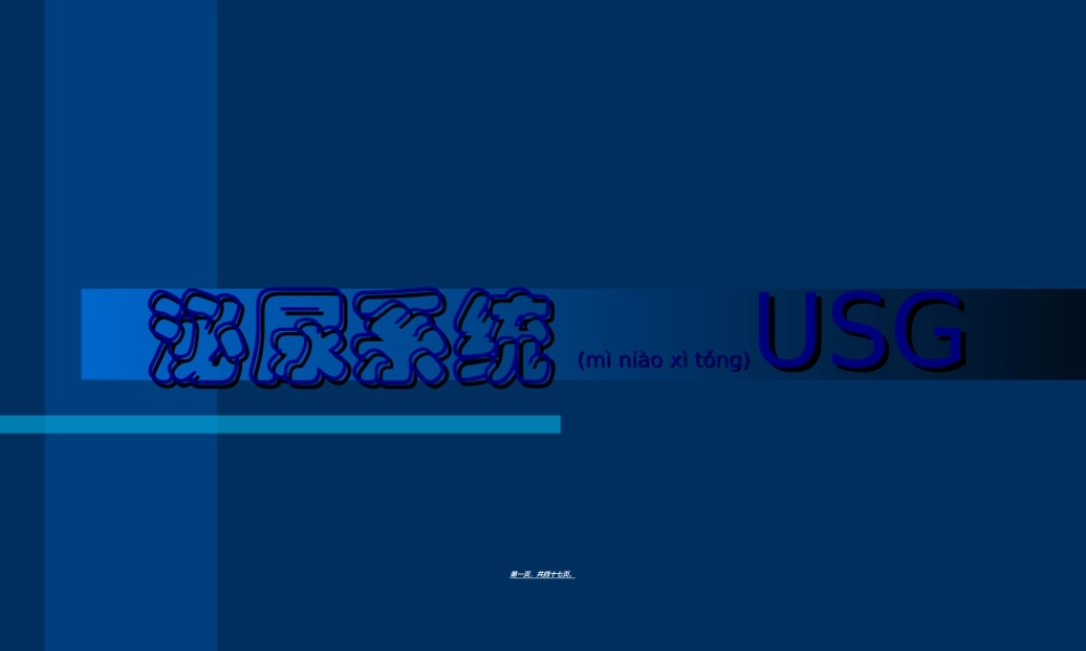 2022年医学专题—泌尿B超.ppt