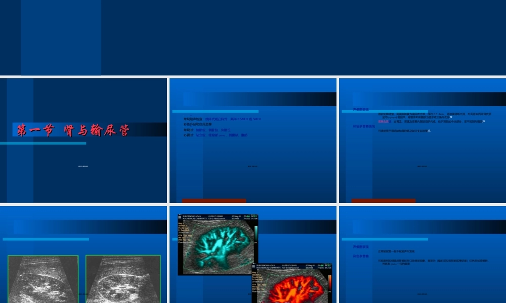 2022年医学专题—泌尿B超.ppt
