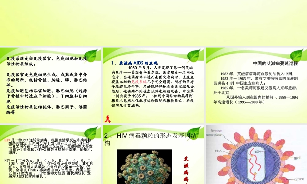 HIV的致病机理.ppt