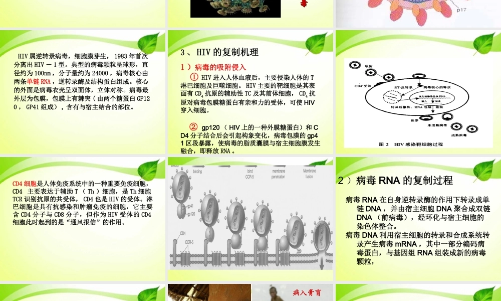 HIV的致病机理.ppt