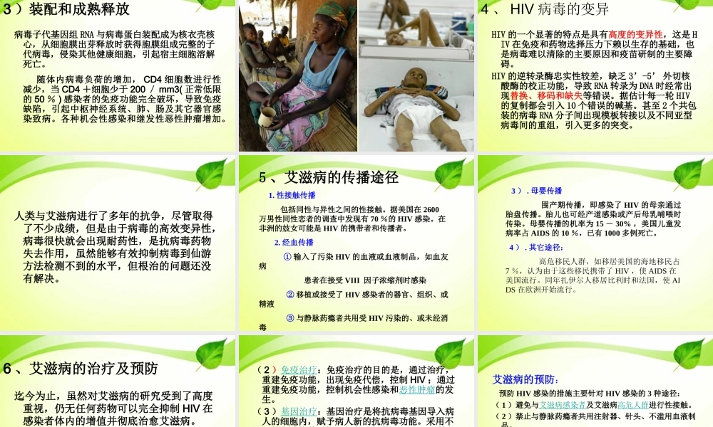 HIV的致病机理.ppt