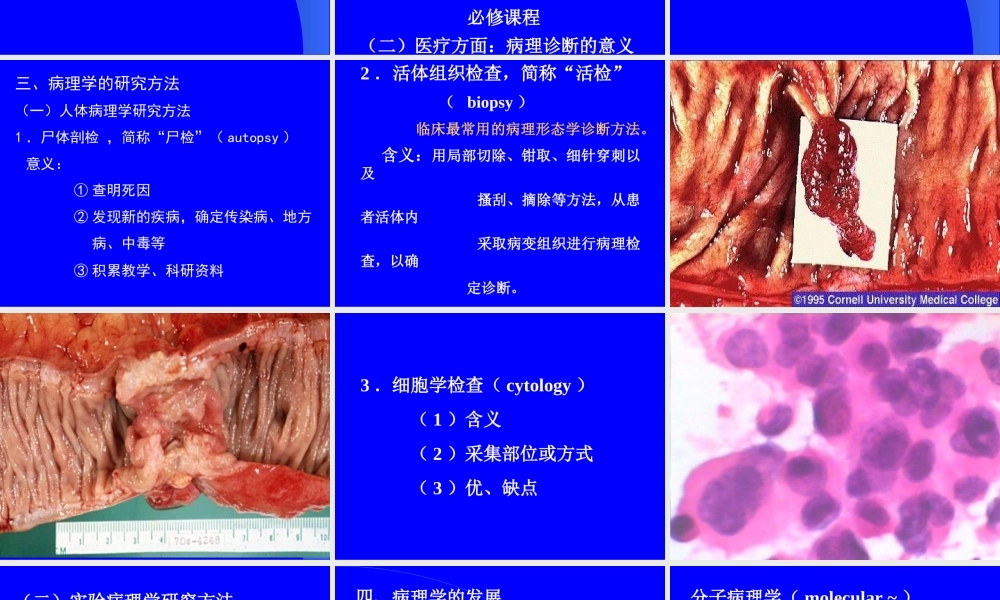 绪论、细胞组织的损伤与修复.ppt