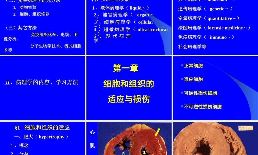 绪论、细胞组织的损伤与修复.ppt