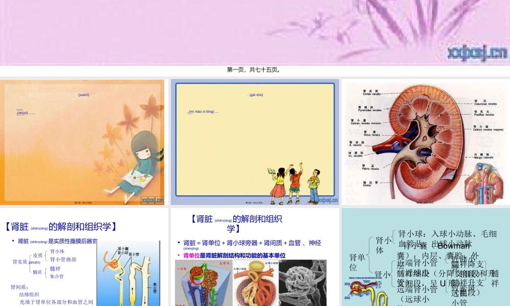 2022年医学专题—子宫颈与子宫体全部脱出于阴道口外.ppt