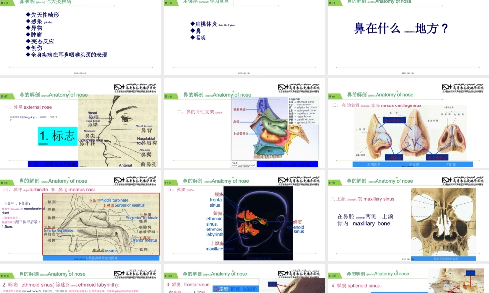 2022年医学专题—新疆耳鼻喉专家讲座讲义.ppt
