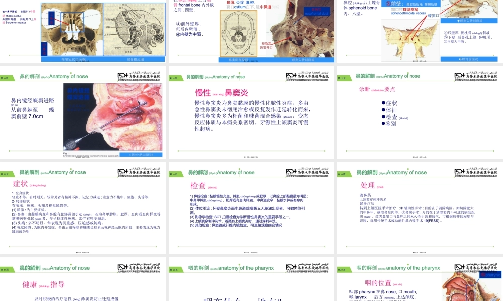 2022年医学专题—新疆耳鼻喉专家讲座讲义.ppt