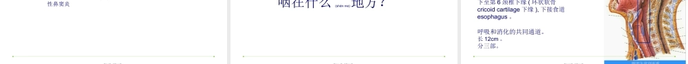 2022年医学专题—新疆耳鼻喉专家讲座讲义.ppt