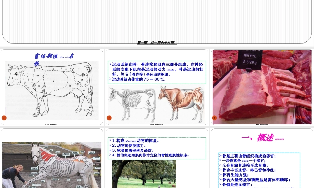 2022年医学专题—第三章运动系统骨与骨连接.ppt