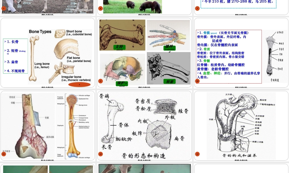2022年医学专题—第三章运动系统骨与骨连接.ppt