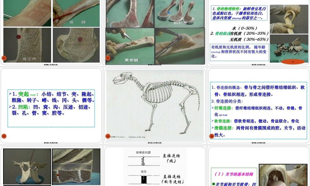 2022年医学专题—第三章运动系统骨与骨连接.ppt