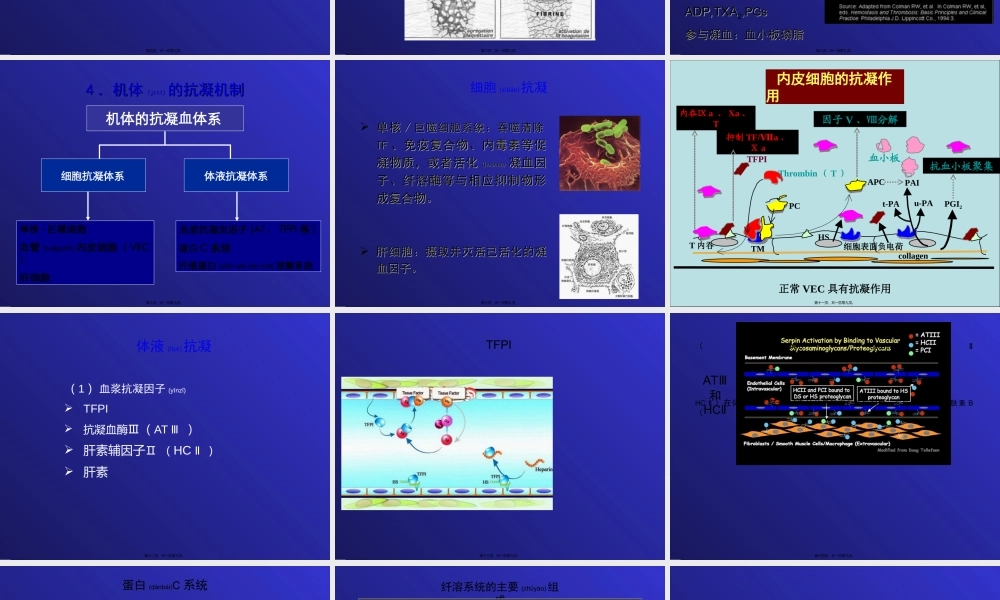 2022年医学专题—第九章-凝血与抗凝血平衡紊乱.ppt