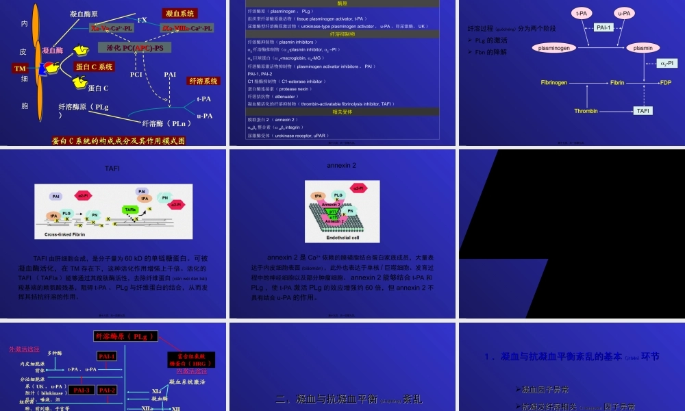 2022年医学专题—第九章-凝血与抗凝血平衡紊乱.ppt