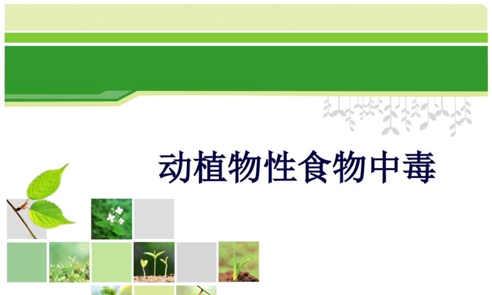 动植物性食物中毒.pptx