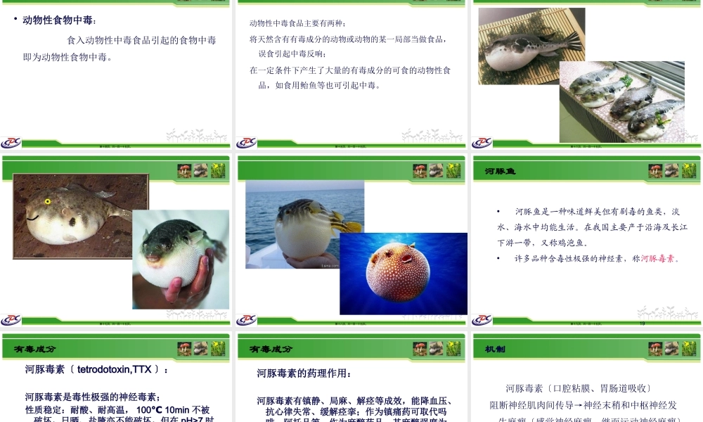 动植物性食物中毒.pptx