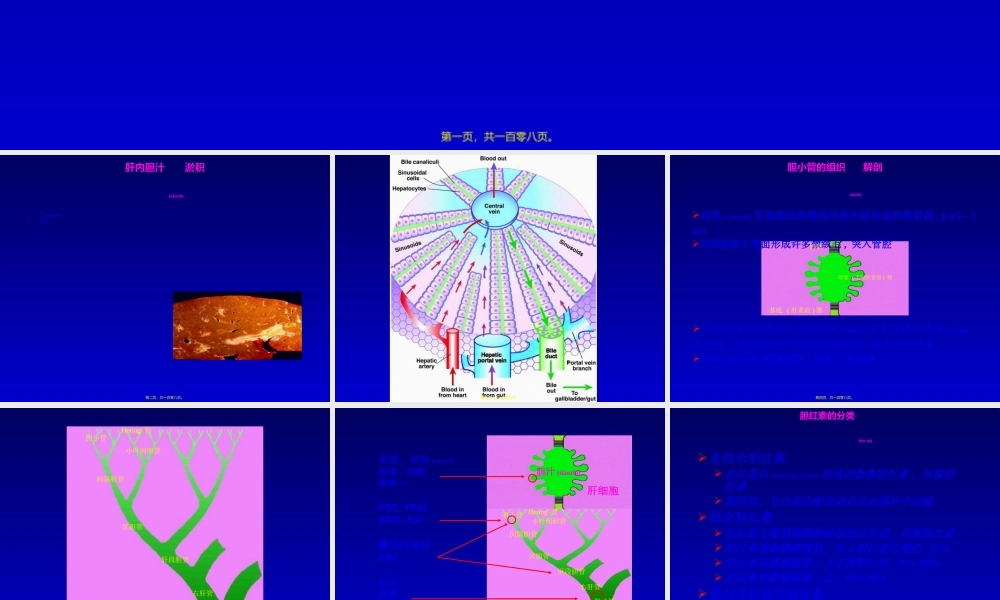 2022年医学专题—肝内胆汁淤积-武汉.ppt