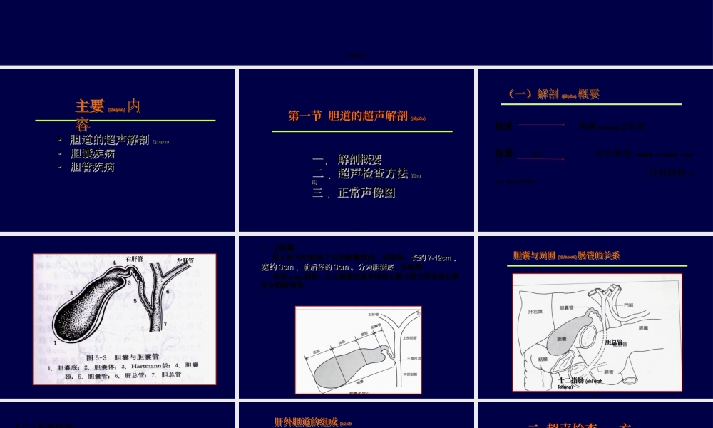 2022年医学专题—胆道超声.ppt