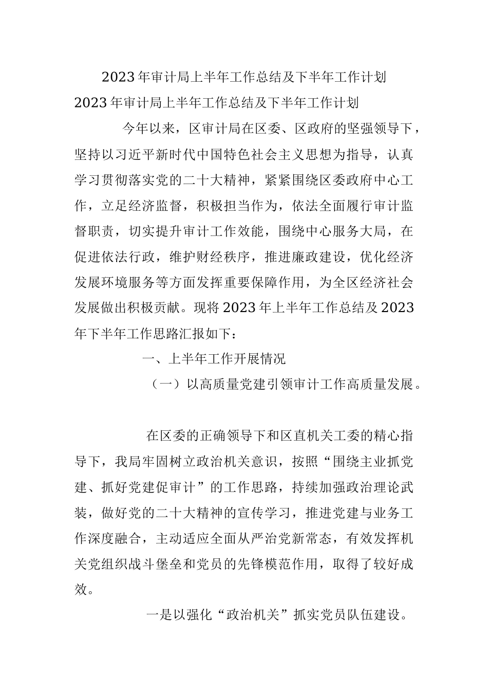 2023年审计局上半年工作总结及下半年工作计划.docx_第1页