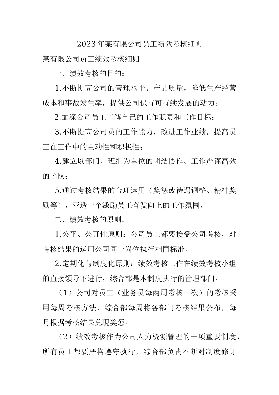 2023年某有限公司员工绩效考核细则.docx_第1页