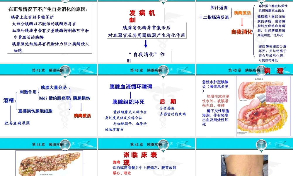 135消化内科-胰腺疾病(1).ppt
